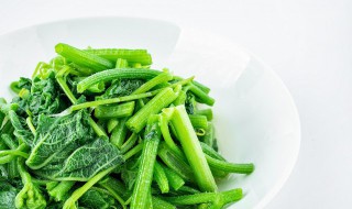 菜心做馅怎么做才不变黄 青菜馅怎么保持翠绿