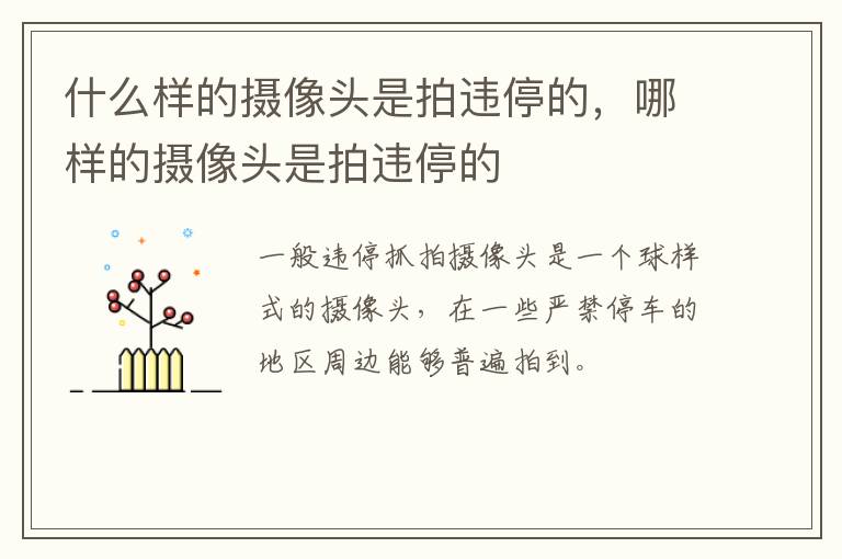 什么样的摄像头是拍违停的，哪样的摄像头是拍违停的
