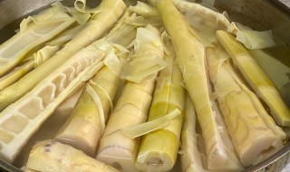 浙江正宗笋的腌制方法 怎样制作浙江正宗笋