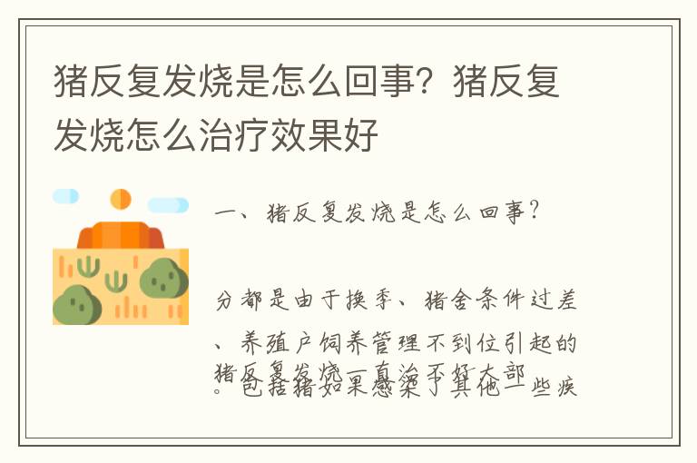 猪反复发烧是怎么回事？猪反复发烧怎么治疗效果好
