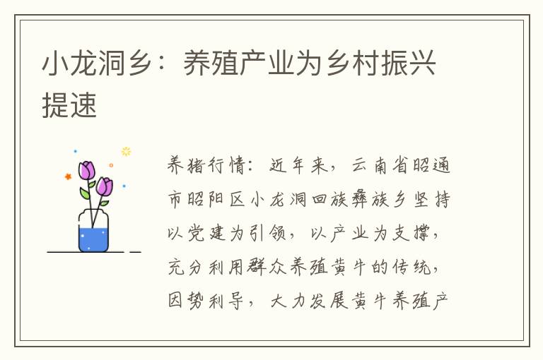 小龙洞乡：养殖产业为乡村振兴提速