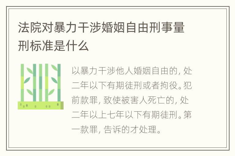 法院对暴力干涉婚姻自由刑事量刑标准是什么