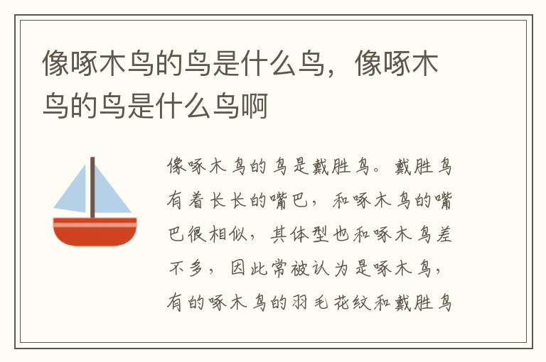像啄木鸟的鸟是什么鸟，像啄木鸟的鸟是什么鸟啊