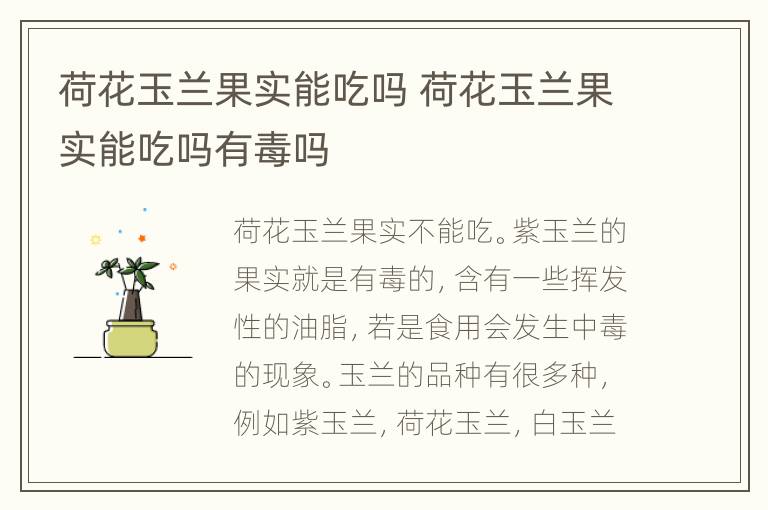 荷花玉兰果实能吃吗 荷花玉兰果实能吃吗有毒吗