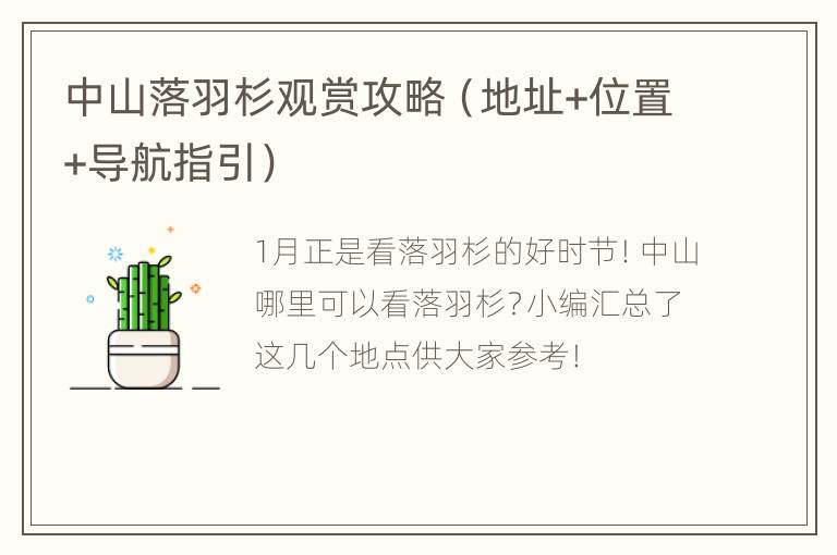 中山落羽杉观赏攻略（地址+位置+导航指引）