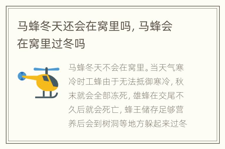 马蜂冬天还会在窝里吗，马蜂会在窝里过冬吗