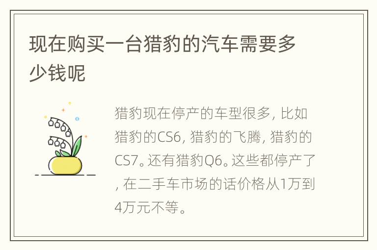 现在购买一台猎豹的汽车需要多少钱呢