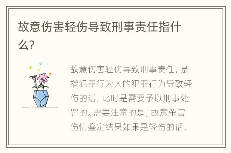 故意伤害轻伤导致刑事责任指什么？