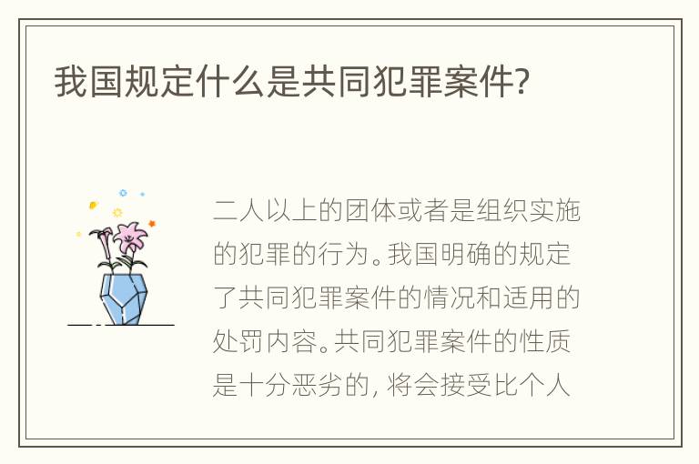 我国规定什么是共同犯罪案件？