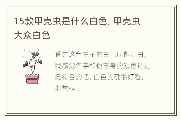 15款甲壳虫是什么白色，甲壳虫大众白色