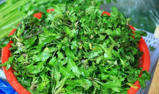 荠菜虾仁炒蛋窍门 怎么做荠菜虾仁炒蛋