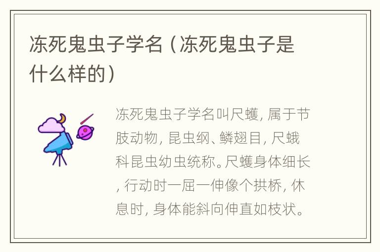 冻死鬼虫子学名（冻死鬼虫子是什么样的）