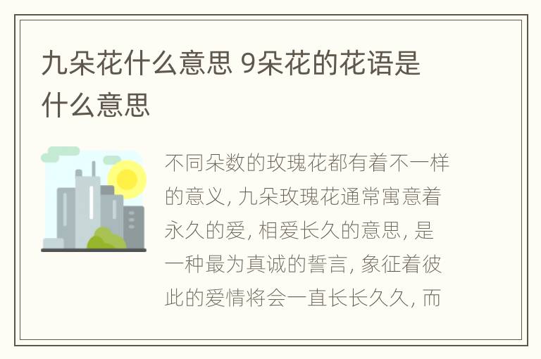 九朵花什么意思 9朵花的花语是什么意思