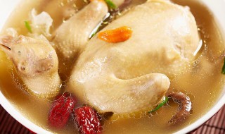 鸽子肉是凉性还是热性 鸽子肉属于凉性还是热性呢