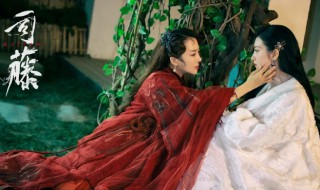 半妖司藤白英为什么变脸 半妖司藤的简介