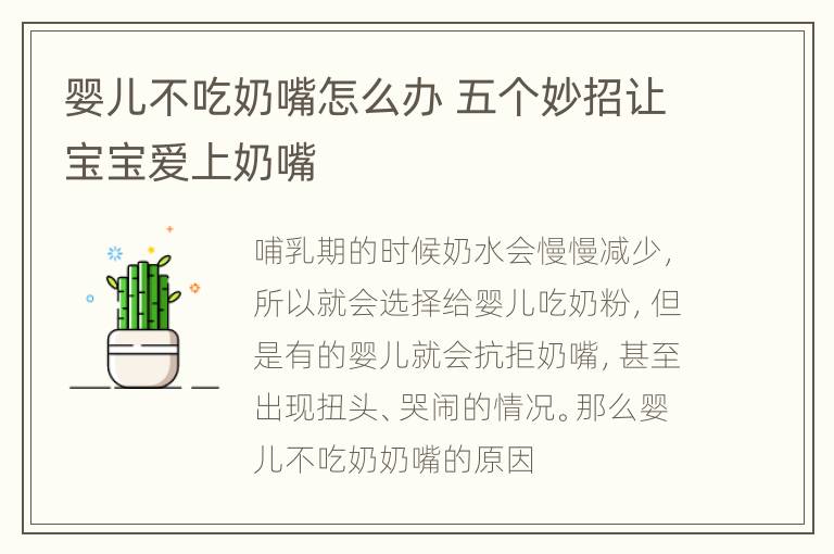 婴儿不吃奶嘴怎么办 五个妙招让宝宝爱上奶嘴