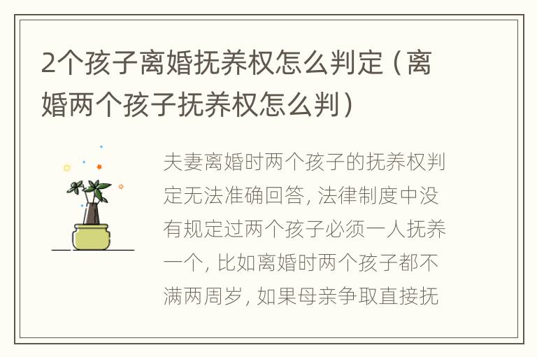 2个孩子离婚抚养权怎么判定（离婚两个孩子抚养权怎么判）