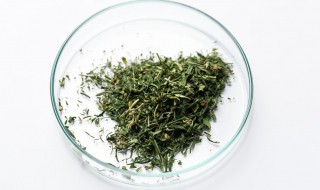 毛尖茶是绿茶吗 关于毛尖茶的介绍