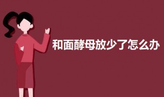 和面酵母放少了怎么办 和面酵母放少了的解决方法