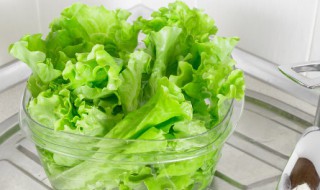 兔子可以吃生菜吗（兔子吃生菜会怎么样）
