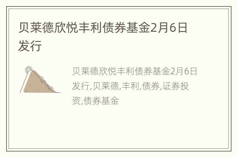 贝莱德欣悦丰利债券基金2月6日发行