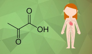 丙酮酸化学式 丙酮酸有什么用