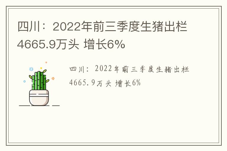 四川：2022年前三季度生猪出栏4665.9万头 增长6%