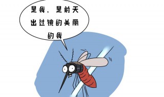 去除蚊子的妙招方法 怎么去除蚊子