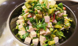 香椿酱嫩豆腐 香椿酱嫩豆腐的做法介绍