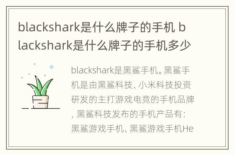 blackshark是什么牌子的手机 blackshark是什么牌子的手机多少钱