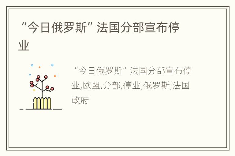 “今日俄罗斯”法国分部宣布停业