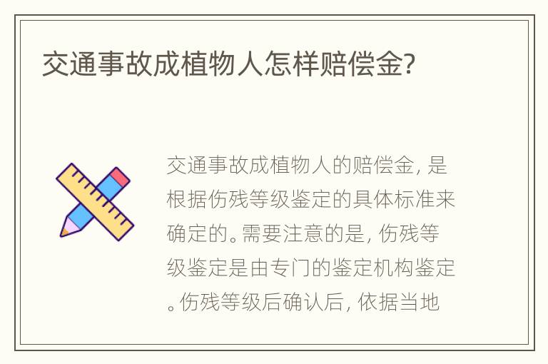 交通事故成植物人怎样赔偿金？