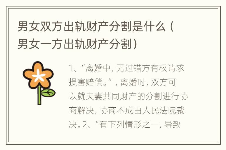 男女双方出轨财产分割是什么（男女一方出轨财产分割）