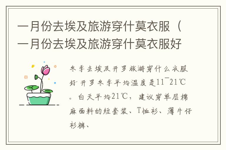 一月份去埃及旅游穿什莫衣服（一月份去埃及旅游穿什莫衣服好）