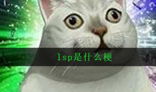lsp什么意思 lsp的解释