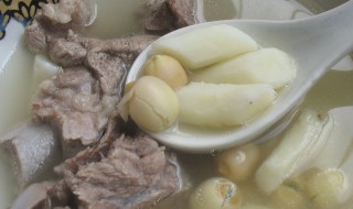 莲子山药炖猪肉怎么做 莲子山药炖猪肉的做法