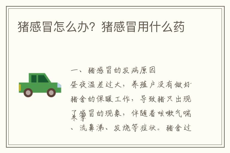 猪感冒怎么办？猪感冒用什么药