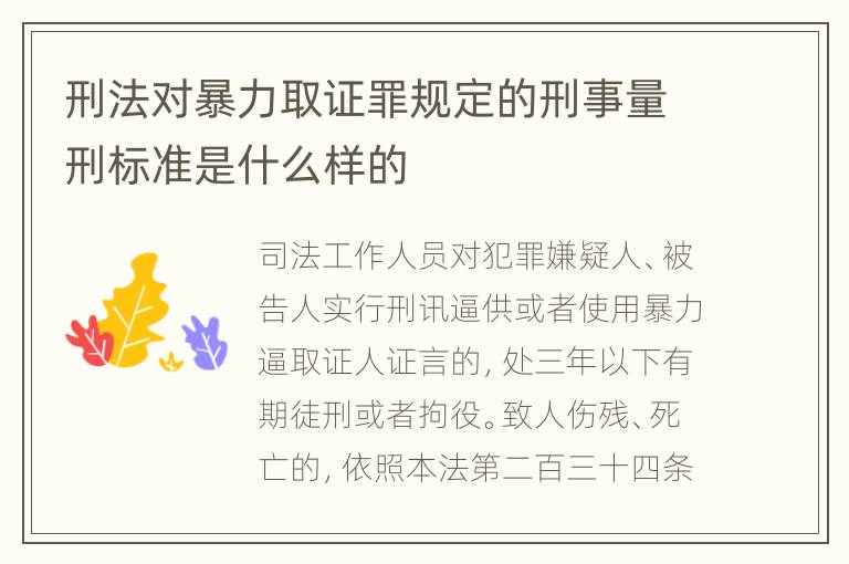 刑法对暴力取证罪规定的刑事量刑标准是什么样的