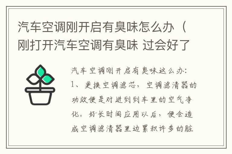 汽车空调刚开启有臭味怎么办（刚打开汽车空调有臭味 过会好了）
