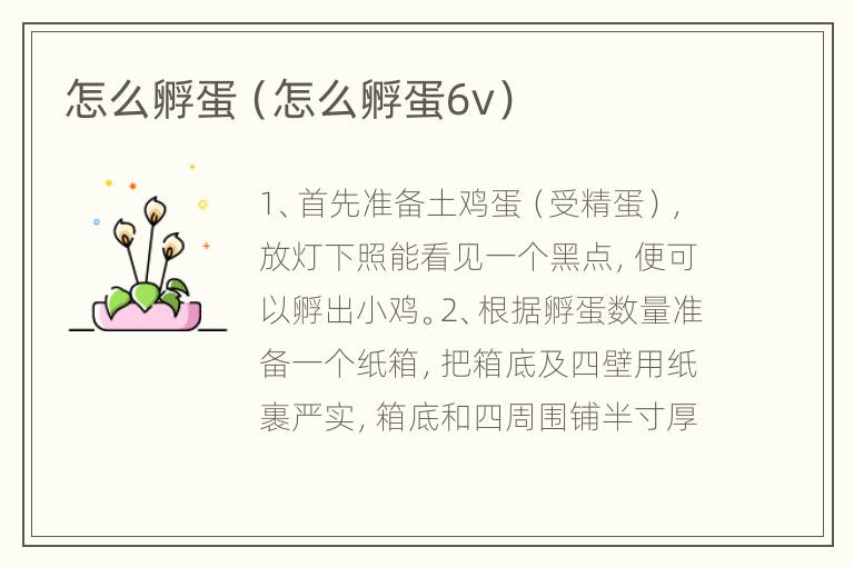 怎么孵蛋（怎么孵蛋6v）