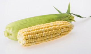 煮玉米的方法 怎么煮玉米