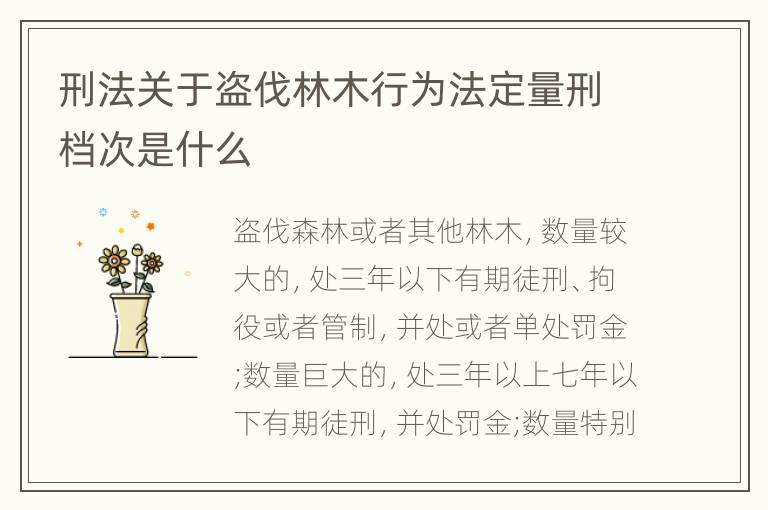 刑法关于盗伐林木行为法定量刑档次是什么