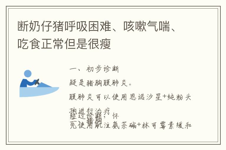 断奶仔猪呼吸困难、咳嗽气喘、吃食正常但是很瘦