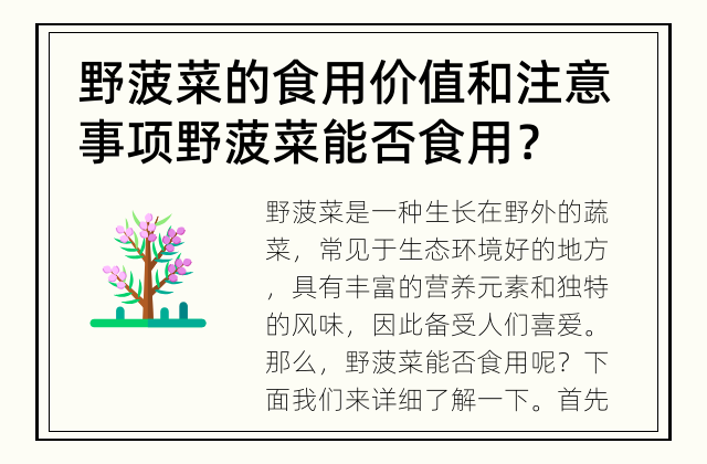 野菠菜的食用价值和注意事项 野菠菜能否食用？