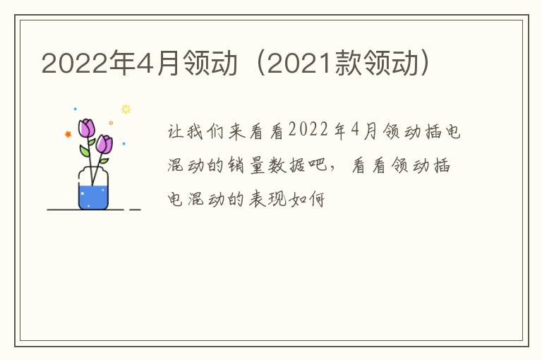 2022年4月领动（2021款领动）