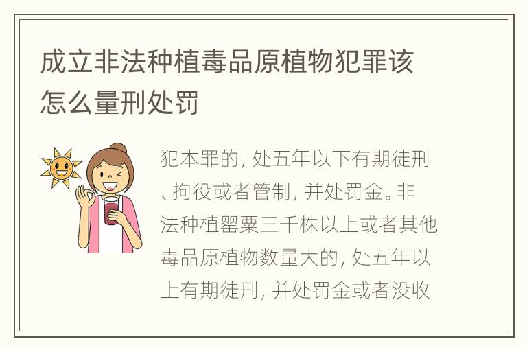 成立非法种植毒品原植物犯罪该怎么量刑处罚