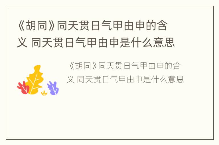 《胡同》同天贯日气甲由申的含义 同天贯日气甲由申是什么意思