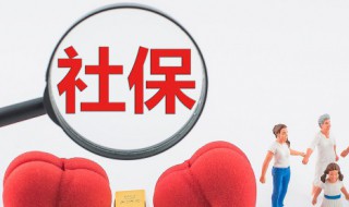医保缴费查询 如何在手机查询医保缴费