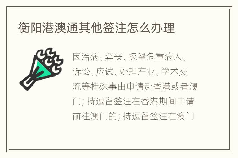 衡阳港澳通其他签注怎么办理