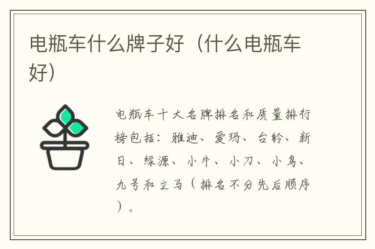 电瓶车什么牌子好（什么电瓶车好）